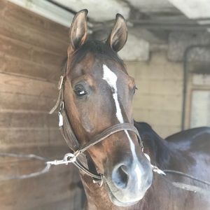 Meet your Posher, Maddy